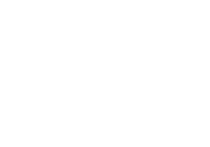 Logo Cannes Yachting Festival 2025